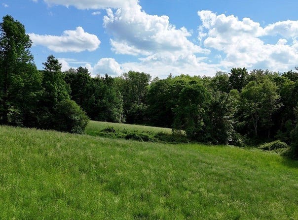 0 Brooks Pond Rd (Entire Parcel), Spencer, MA 01562