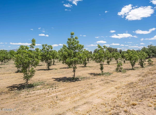 Old River Road lot: 3 Tbd, Las Cruces, NM 88005