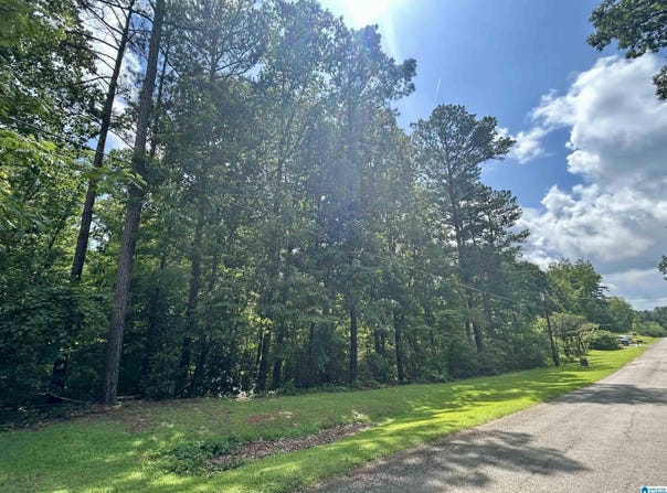 FOREST DRIVE, WARRIOR, AL 35180