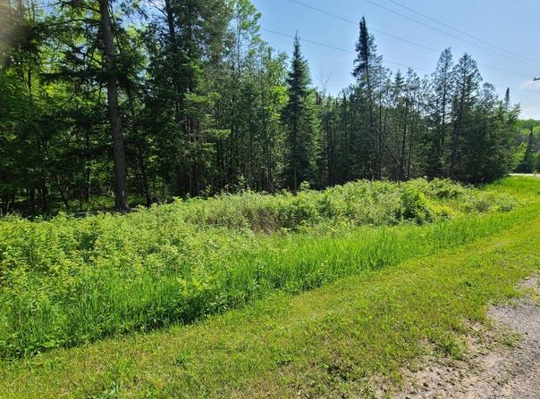 1281 W Trask Lake Road, Barton City, MI 48705