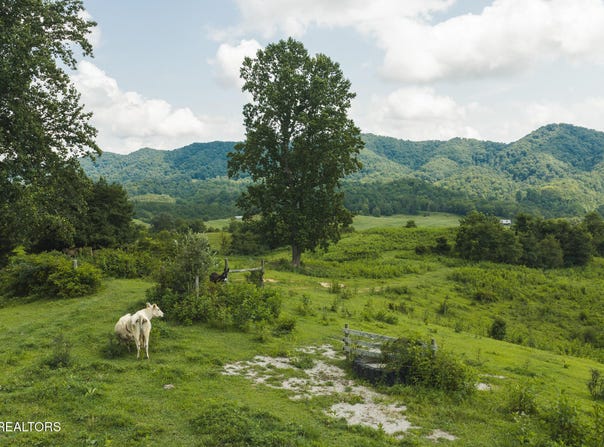 1430 Clinch Valley (55.55 acres) Rd, Sneedville, TN 37869