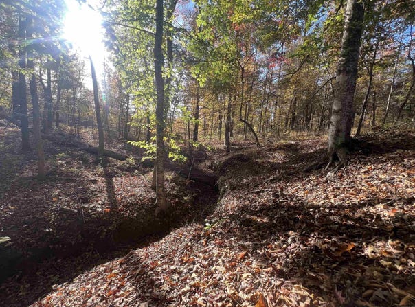 Sulpher Springs rd, Pine Bluff, AR 71603
