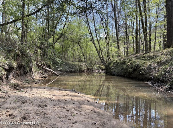 SW Auburn Drive, Bogue Chitto, MS 39629