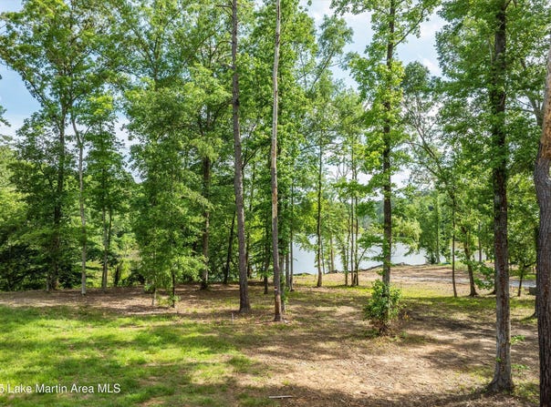 1728-31 Sturdivant Rd, Jacksons Gap, AL 36861