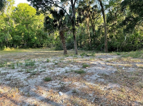PARK AVENUE, DE LEON SPRINGS, FL 32130
