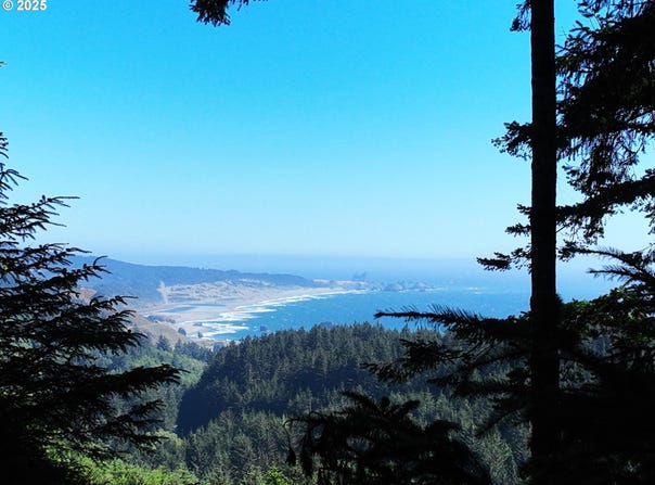 26665 SEBASTIAN LN, Gold Beach, OR 97444