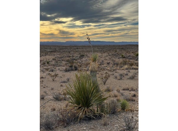 4838 Private Rd, Terlingua, TX 79852