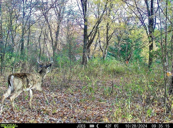 334 State Route 314, Centerburg, OH 43011