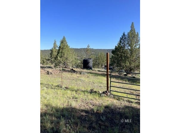 Raccoon, Alturas, CA 96101