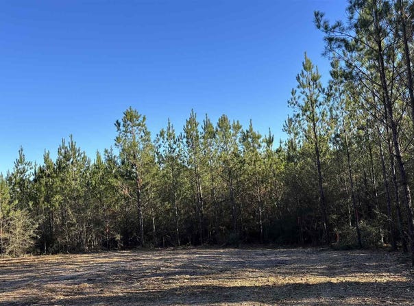 Straw Bridge Rd lot: 57, Jay, FL 32565