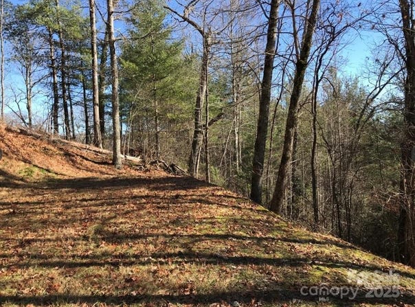 Saturn Way, Topton, NC 28781