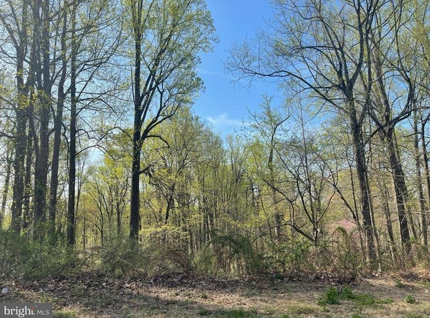 4129 HOLBROOK RD, RANDALLSTOWN, MD 21133
