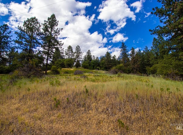 0 Whitetail Drive, Ahsahka, ID 83520