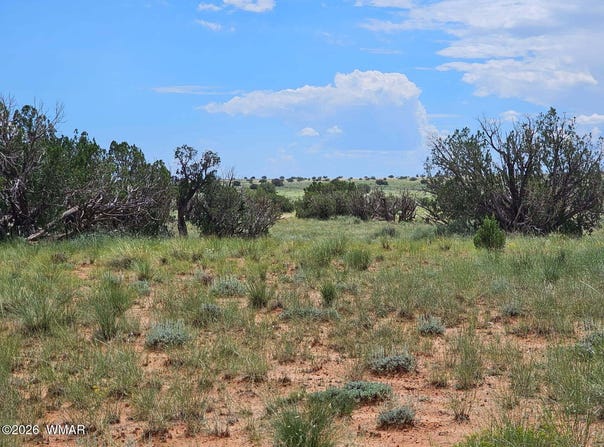 1924 Hutch Road, Heber, AZ 85928