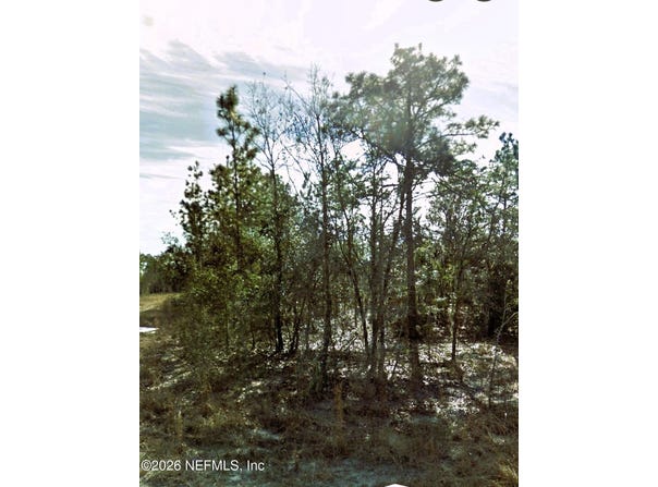 NE 3RD Place, Williston, FL 32696