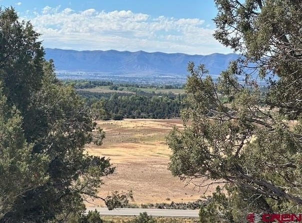 Road V4, Dolores, CO 81323