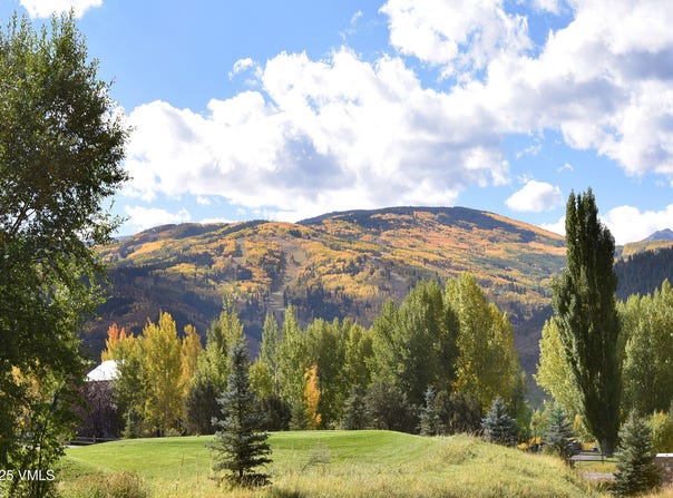 931 Singletree Road, Edwards, CO 81632