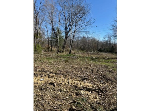 CRIMORA MINE RD, CRIMORA, VA 24431