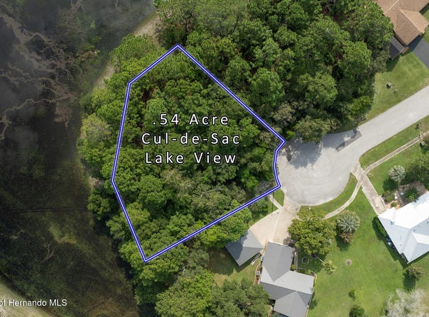 . Lakeview Court, Spring Hill, FL 34608
