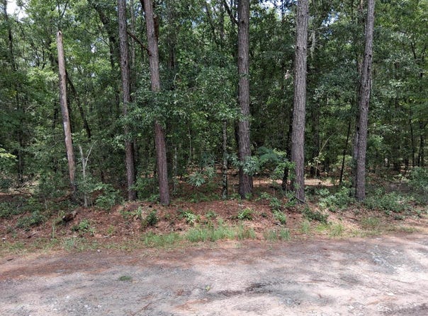 8070 Williford Road, Adams Run, SC 29426