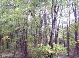 7509 JAMES MADISON Highway, GAINESVILLE, VA 20155
