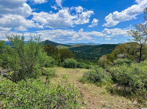 2XX XYZ Ranch Road, Silver City, NM 88061