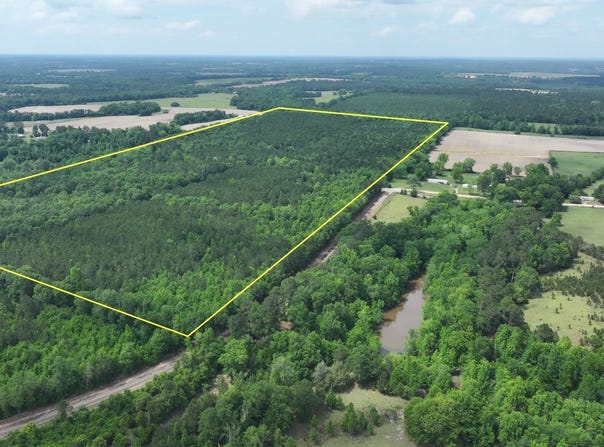 xx Liberty Rd., Pansey, AL 36370