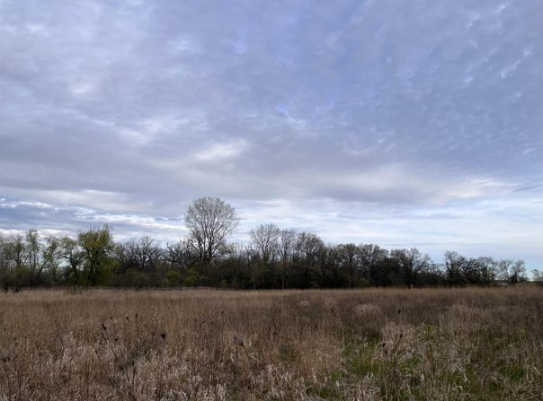 L60 Forest Park Drive, Windsor, WI 53532