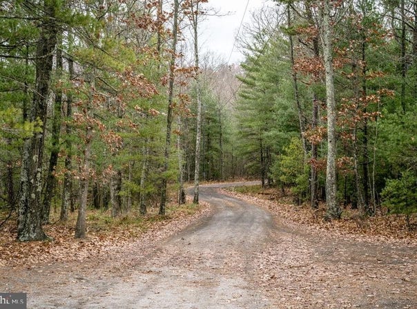 Lot 22 BUCK RIDGES ROAD, FRANKLIN, WV 26807