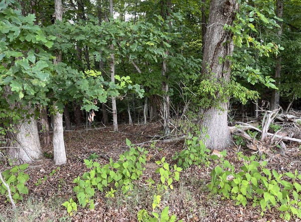 Parford Ln, Moneta, VA 24121