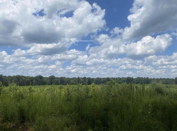 452 Bowie Rd, Troy, SC 29848