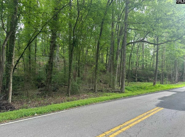 Mill Road, Little Mountain, SC 29075