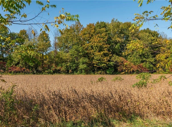 Hoag Road, Rome, NY 13440