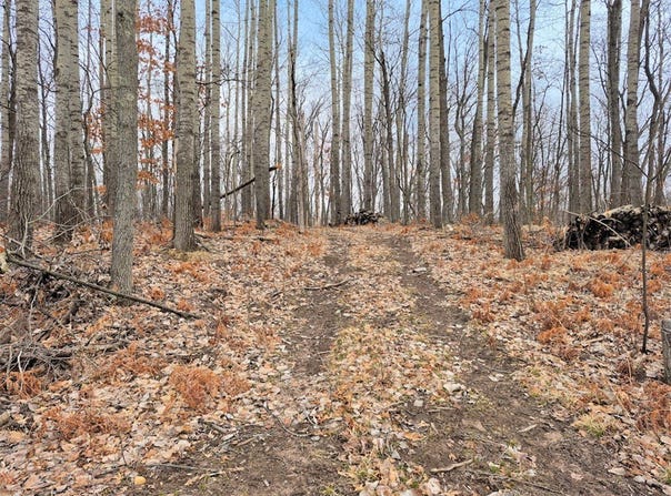 0 Town Hall Road, Springbrook, WI 54875