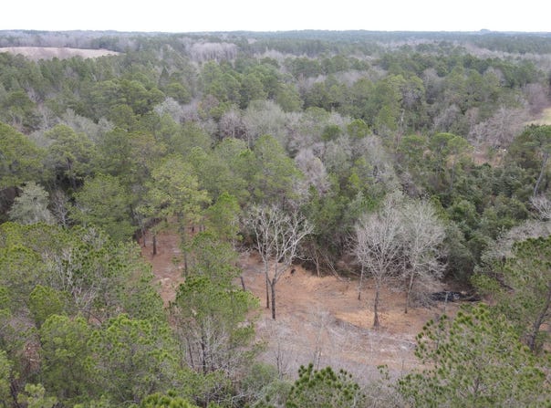 390 Farve Road, Sumrall, MS 39482