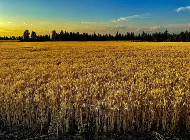 0 E Orchard Bluff Rd Lot A Rd, Chattaroy, WA 99003