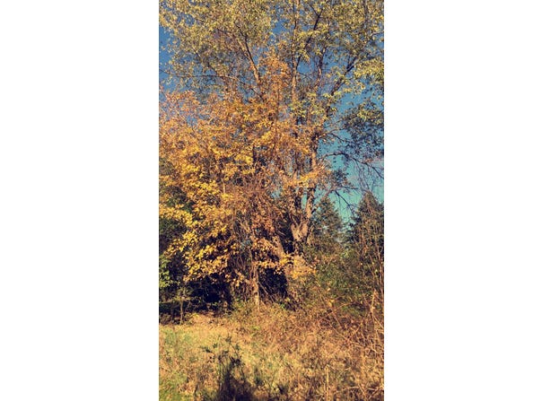 Lt0 Lake View Rd, West Bend, WI 53090