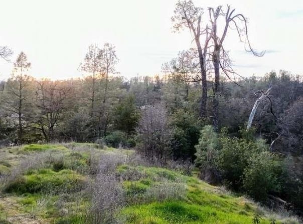 18675 Wilderness Drive, Cottonwood, CA 96022