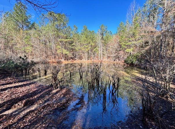 00 Wiggins Loop Rd, Carthage, MS 39051