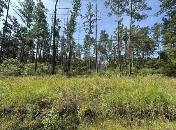 1.39 Acres Hood Rd, Denham Springs, LA 70726