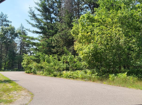 Norseman Drive lot: 8, Grayling, MI 49738