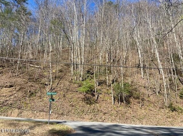 Lot 1 N Clear Fork Rd, Sevierville, TN 37862