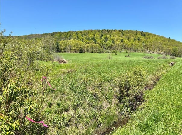 463 Cemetery Road, Seward, NY 12043