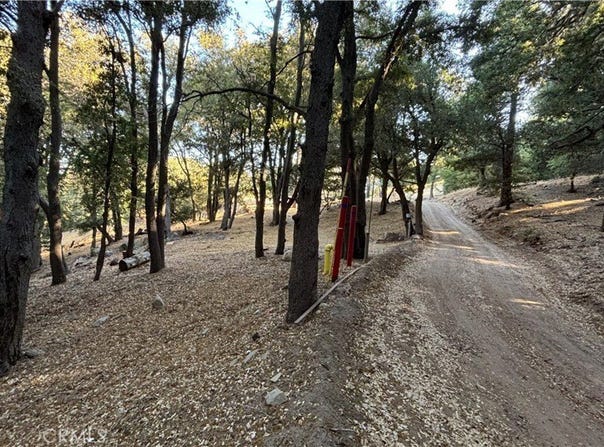 722 Mojave River Road, Cedarpines Park, CA 92322