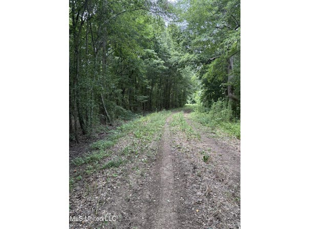 E River Road, Anguilla, MS 38721