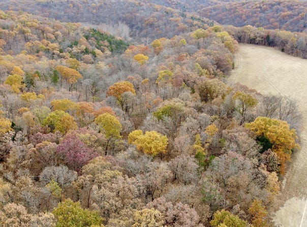 Polston Ln, Marthasville, MO 63357
