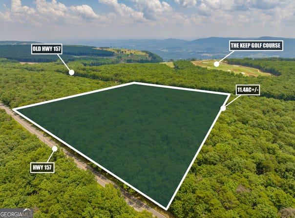 0 157 Highway GA, Menlo, GA 30731