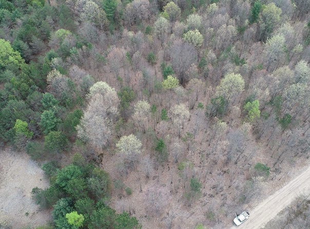 00 HORTON 14 MILE ROAD, MESICK, MI 49668