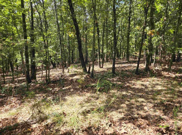 L101-103, B-3 Lightning Circle, Highland, AR 72542