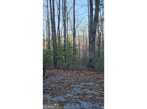 0 Eagle Eye, Tiger, GA 30576
